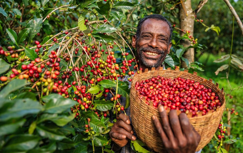 xr:d:dafxxjxvfx4:8,j:45023769838,t:23011115