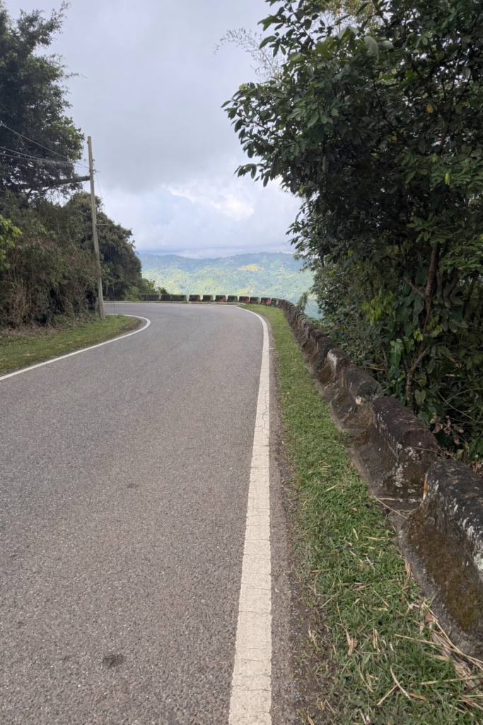 chatgpt image 16 feb 2026, 01 57 12 p.m.