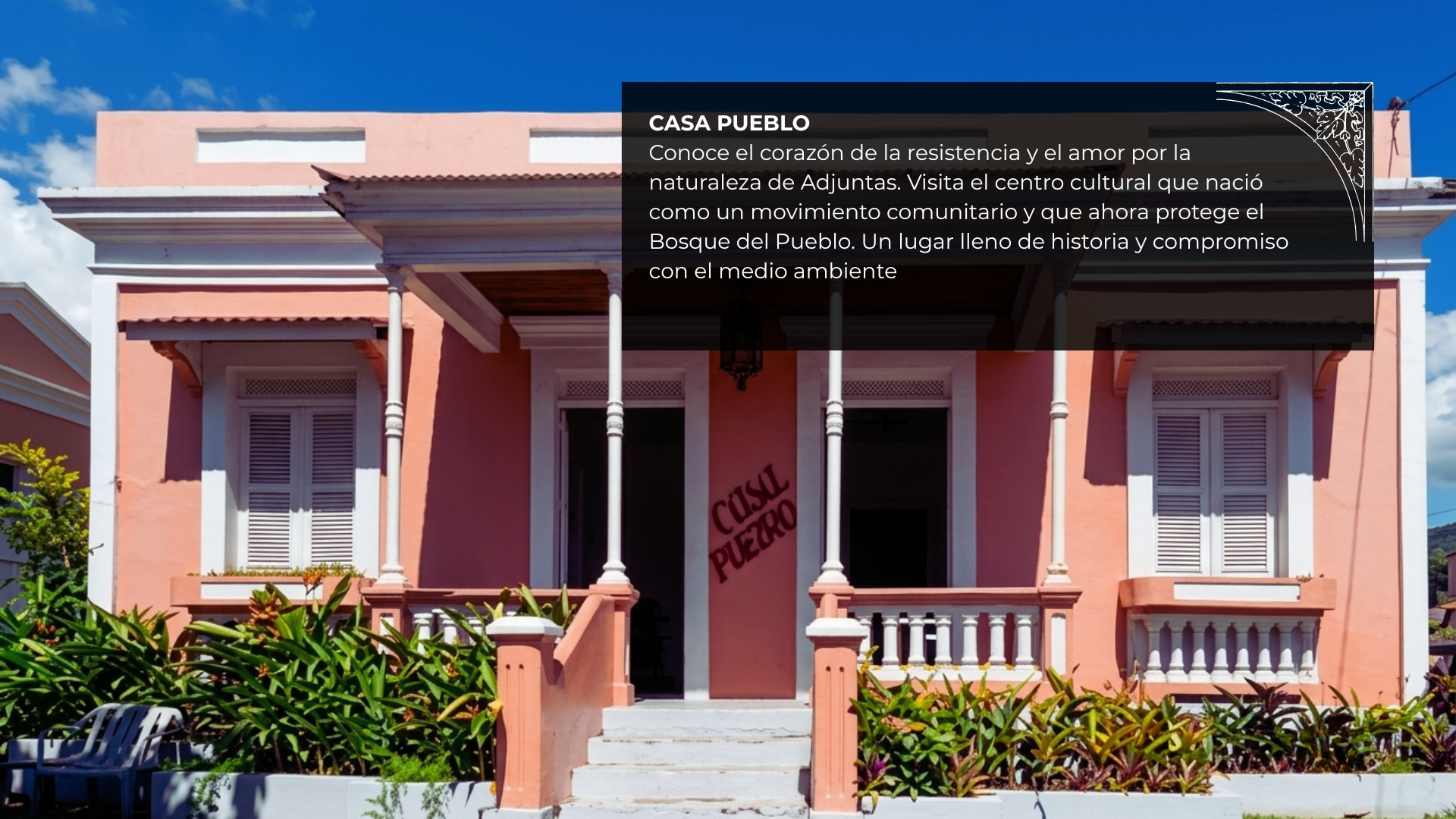 Imagen 6