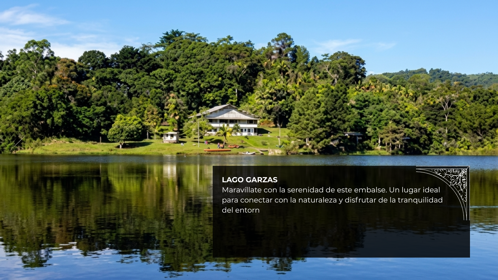 Imagen 7