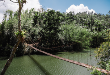 Puente la Hamaca