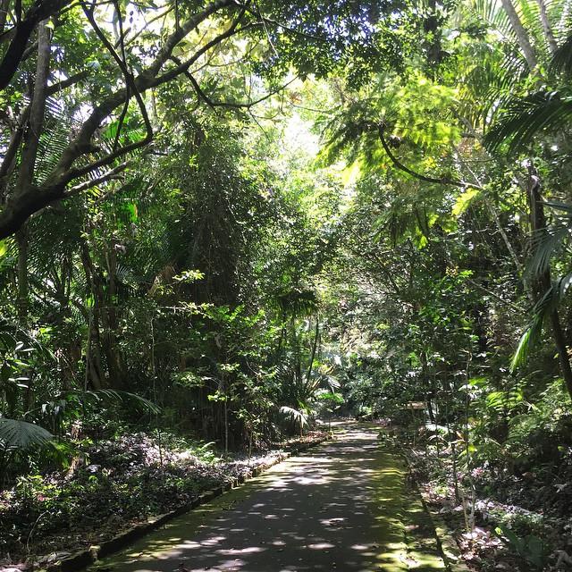 Bosque Estadal de Guillarte