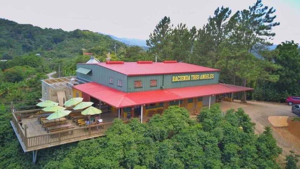 555331529 1196074159215697 4246361464800753824 n