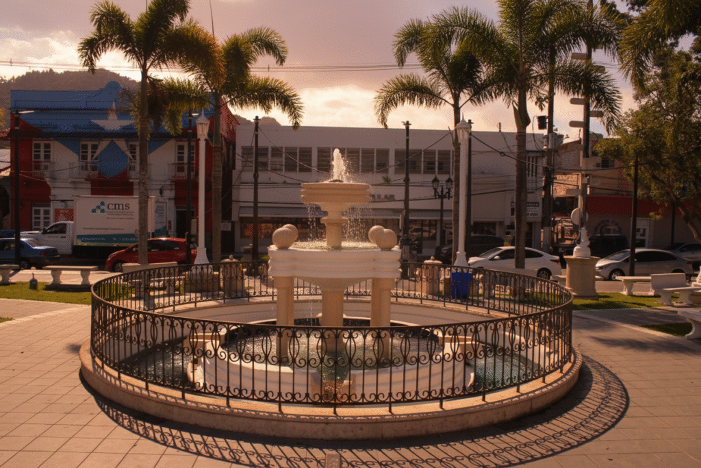 plaza de adjuntas plaza de adjuntas