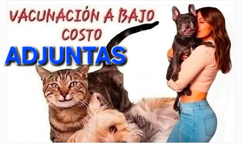 650629936 122253462242253467 181943854808367890 n